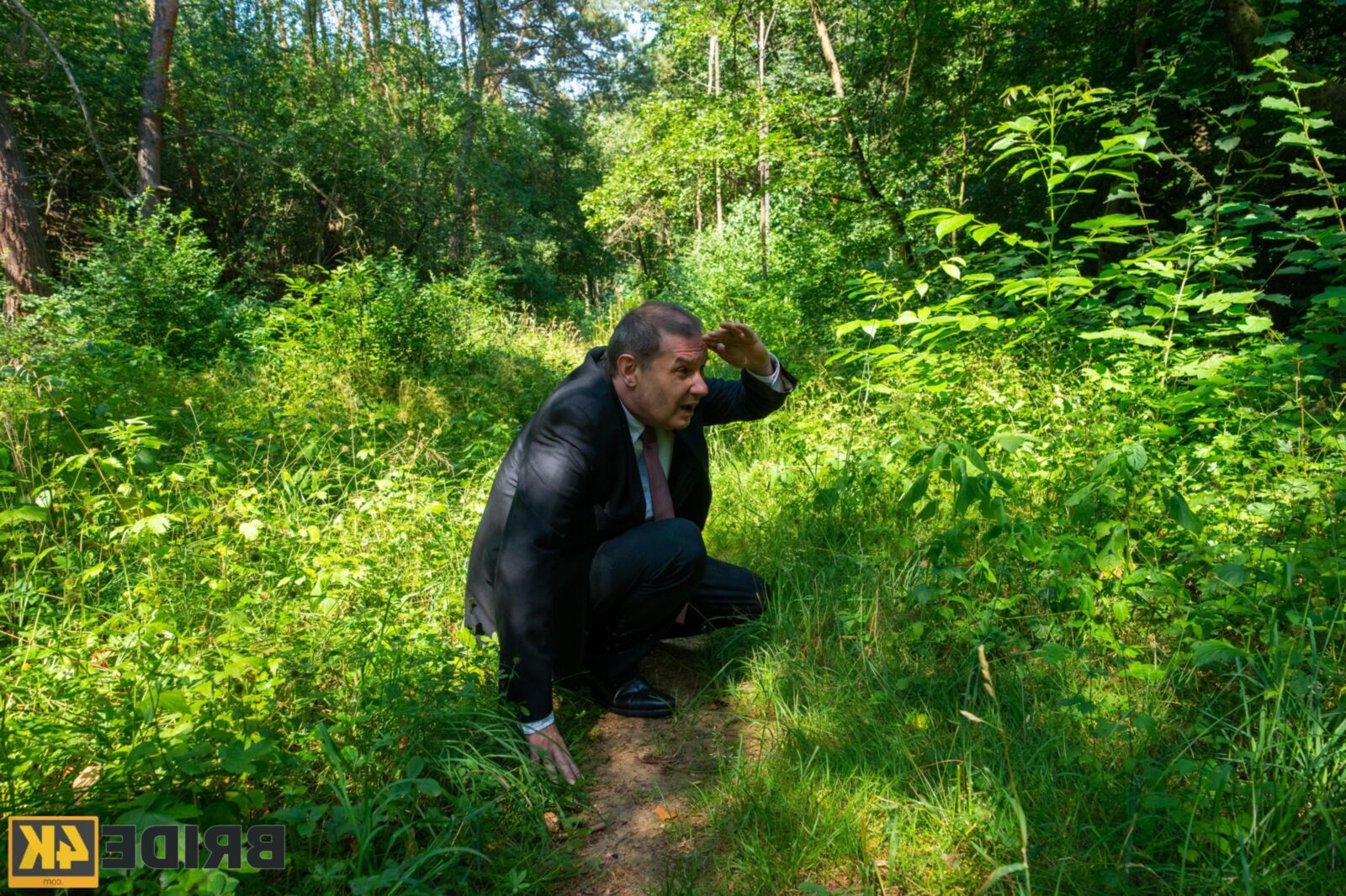 Forêt de merveilles de Zaawaadi et de luxure incontournable, ..