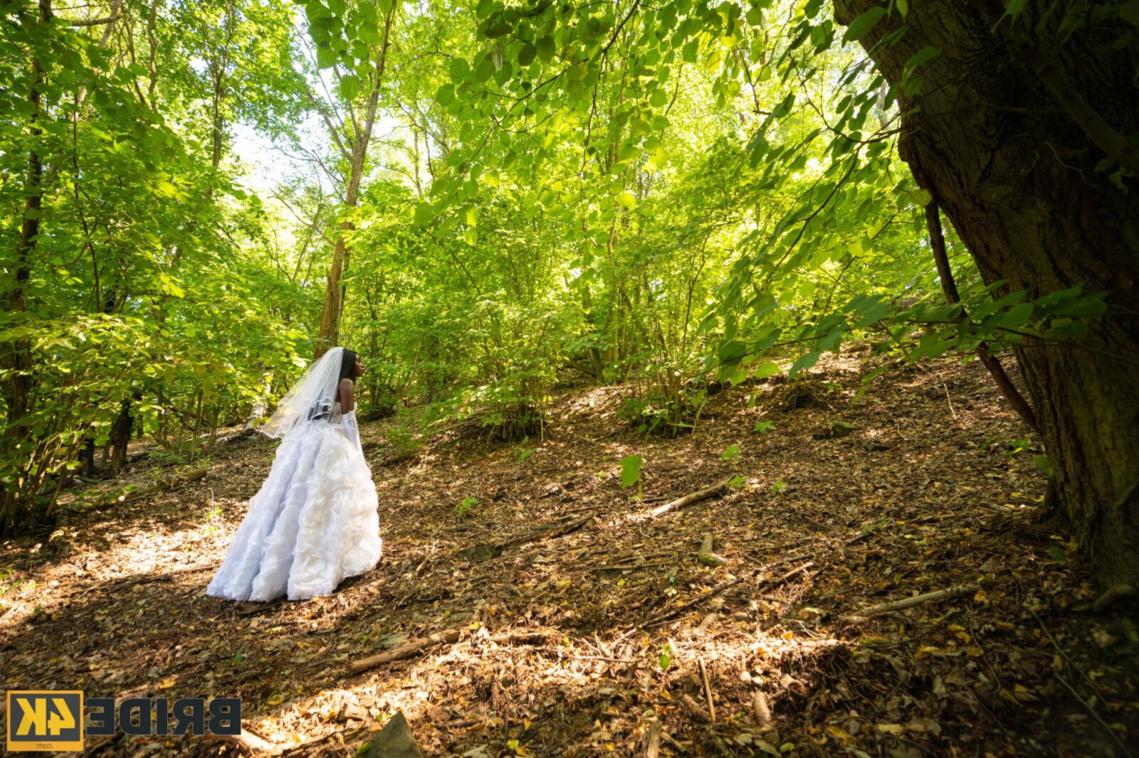 Forêt de merveilles de Zaawaadi et de luxure incontournable, ..