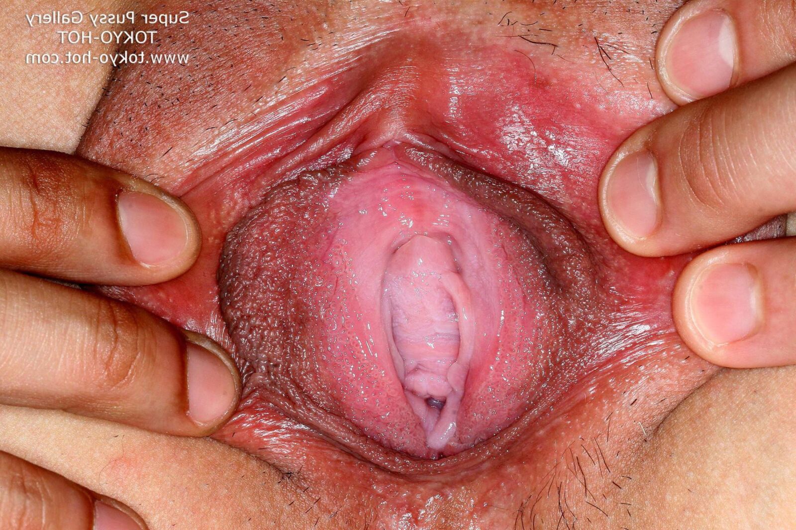 Super Pussy Gallery JPGs