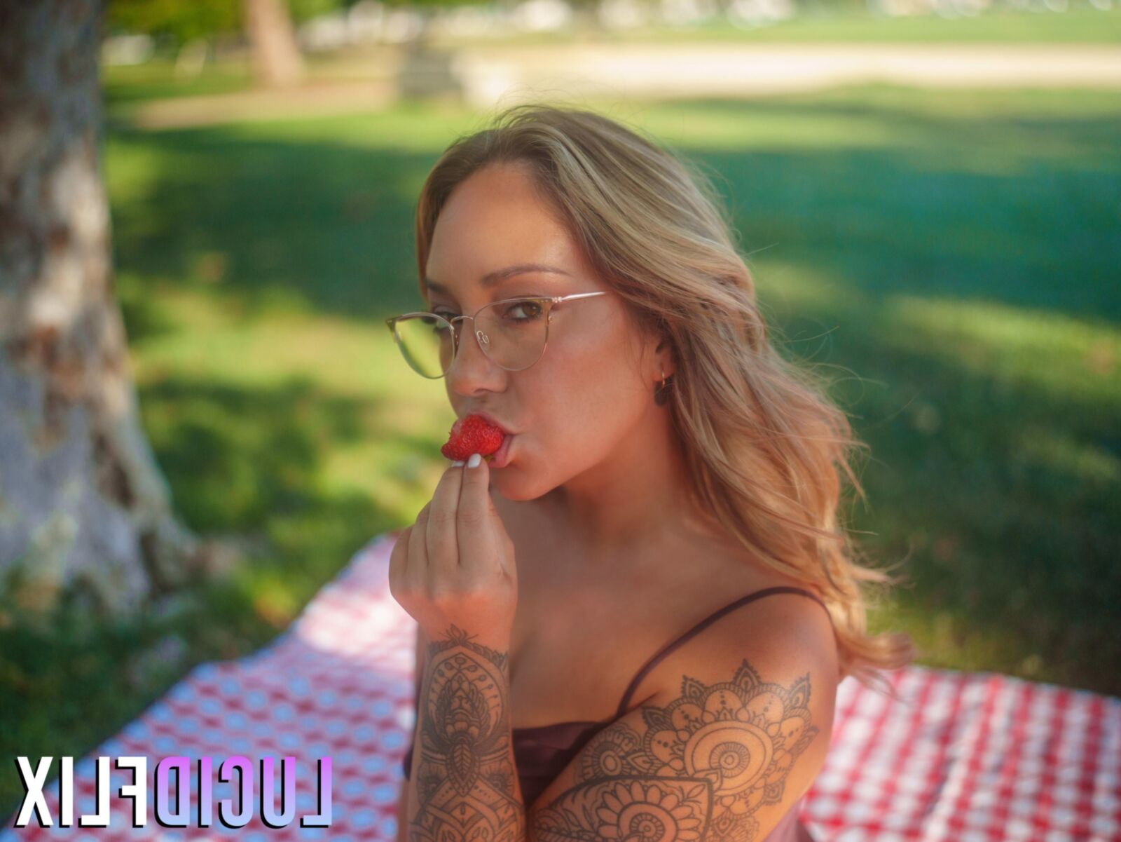 Lucidflix Remy Lacroix Ultimacy III El autor __