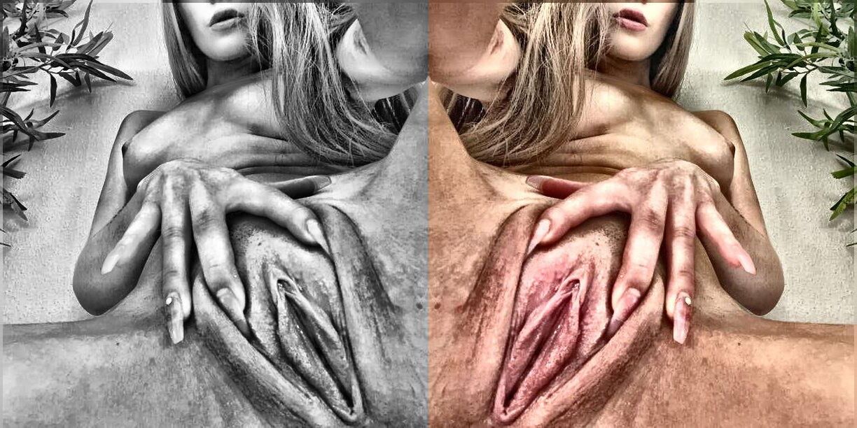 信じられないほどの写真を見たことがない詩アルバム