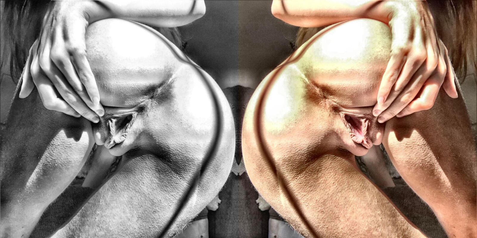 信じられないほどの写真を見たことがない詩アルバム