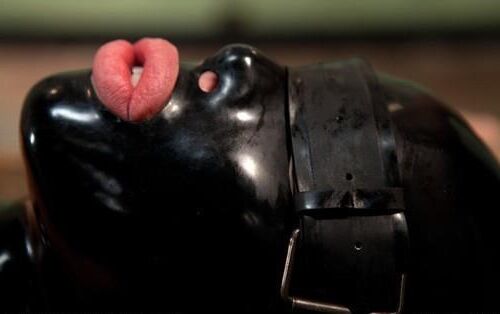 BDSM 