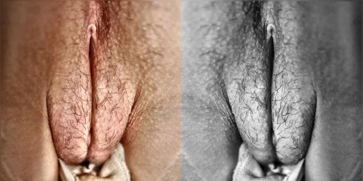 信じられないほどの写真を見たことがない詩アルバム