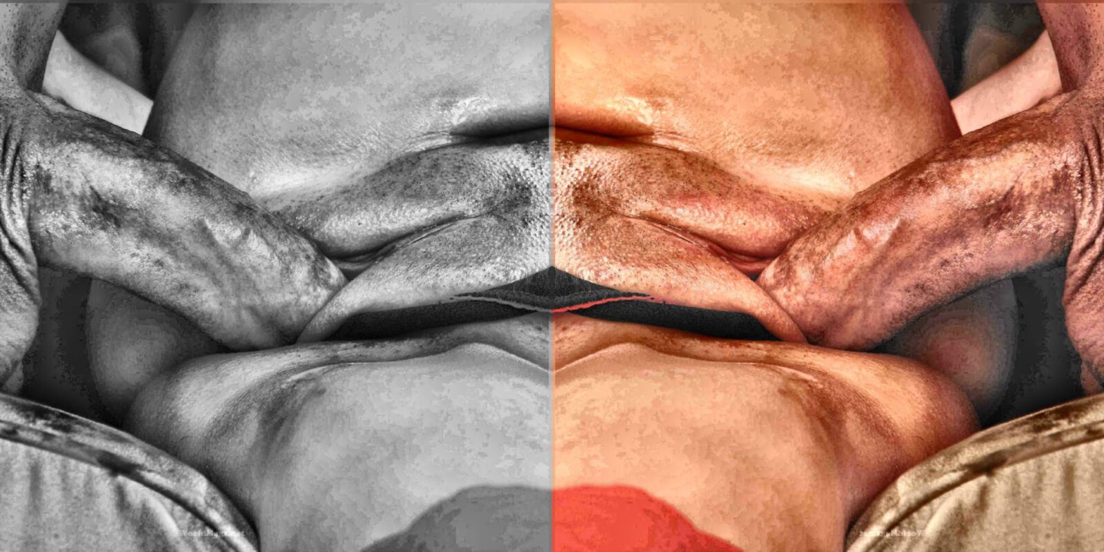 信じられないほどの写真を見たことがない詩アルバム