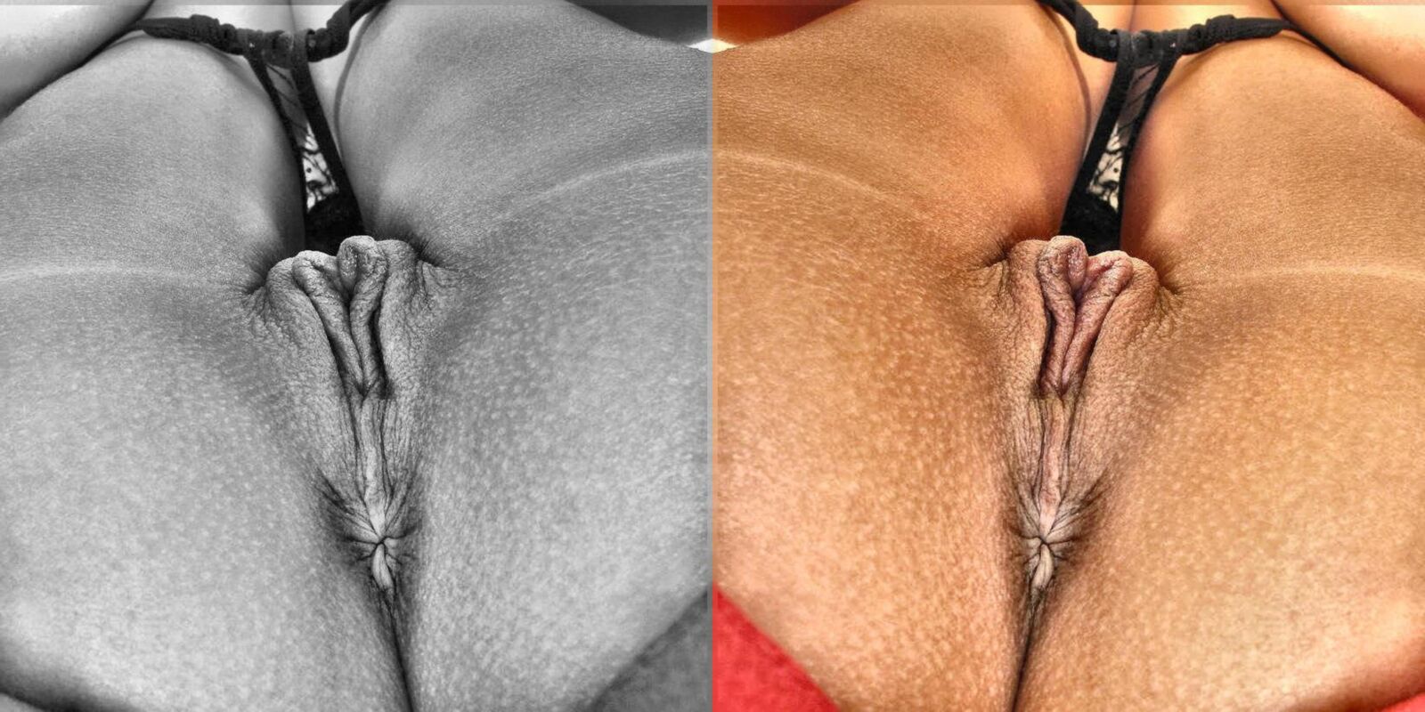 信じられないほどの写真を見たことがない詩アルバム