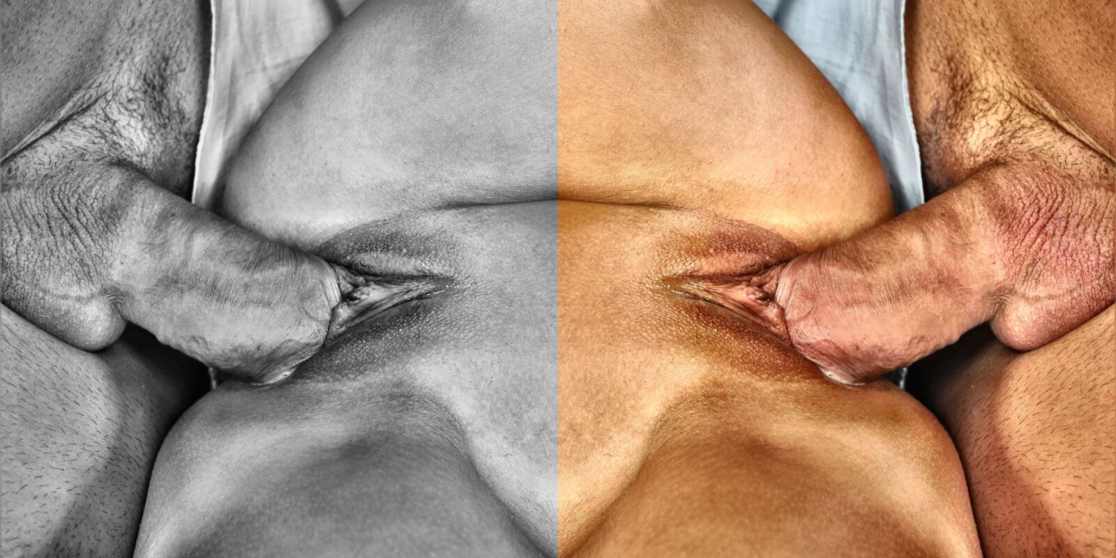 信じられないほどの写真を見たことがない詩アルバム