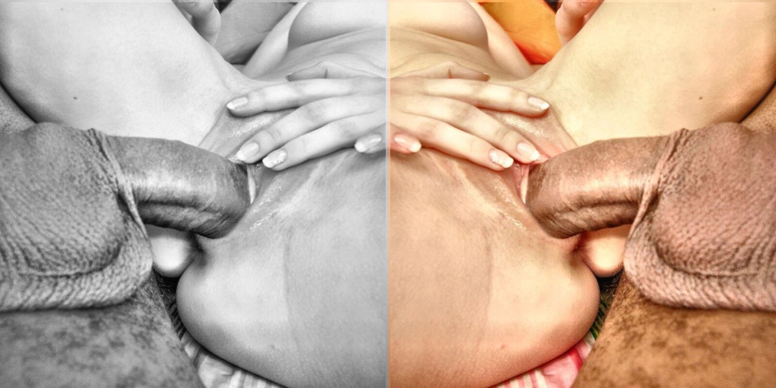 Álbum de poesia com imagens incríveis