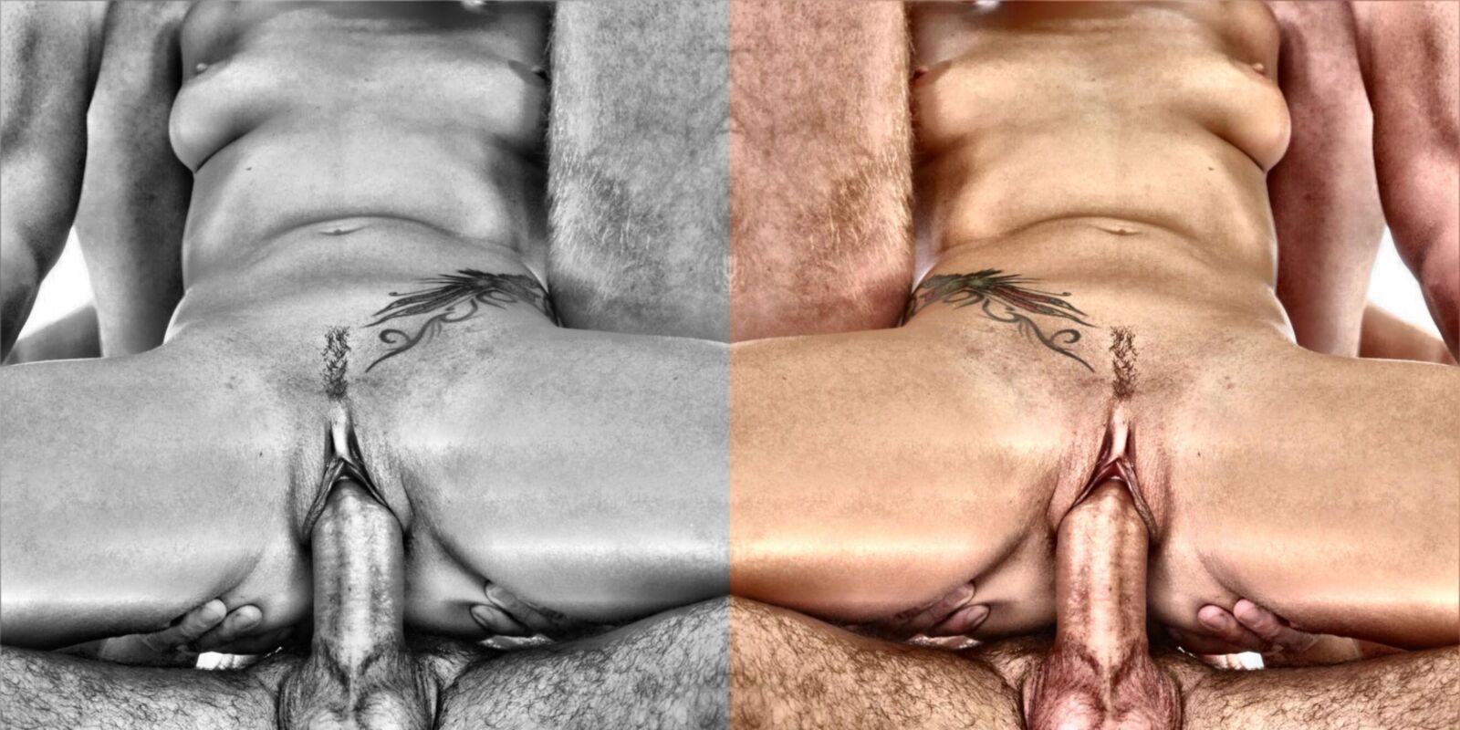 信じられないほどの写真を見たことがない詩アルバム