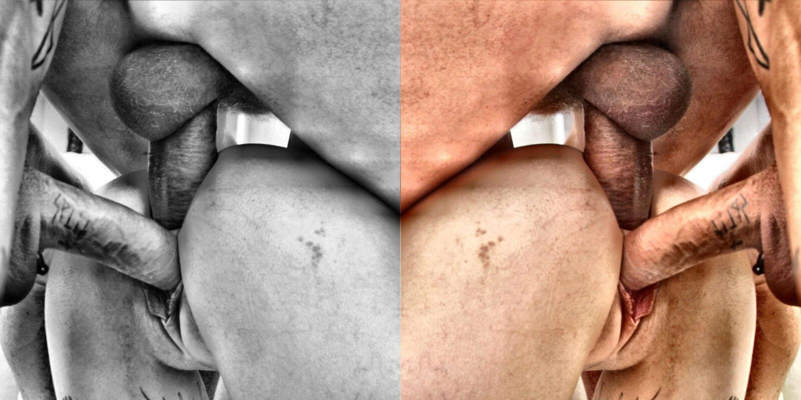 信じられないほどの写真を見たことがない詩アルバム