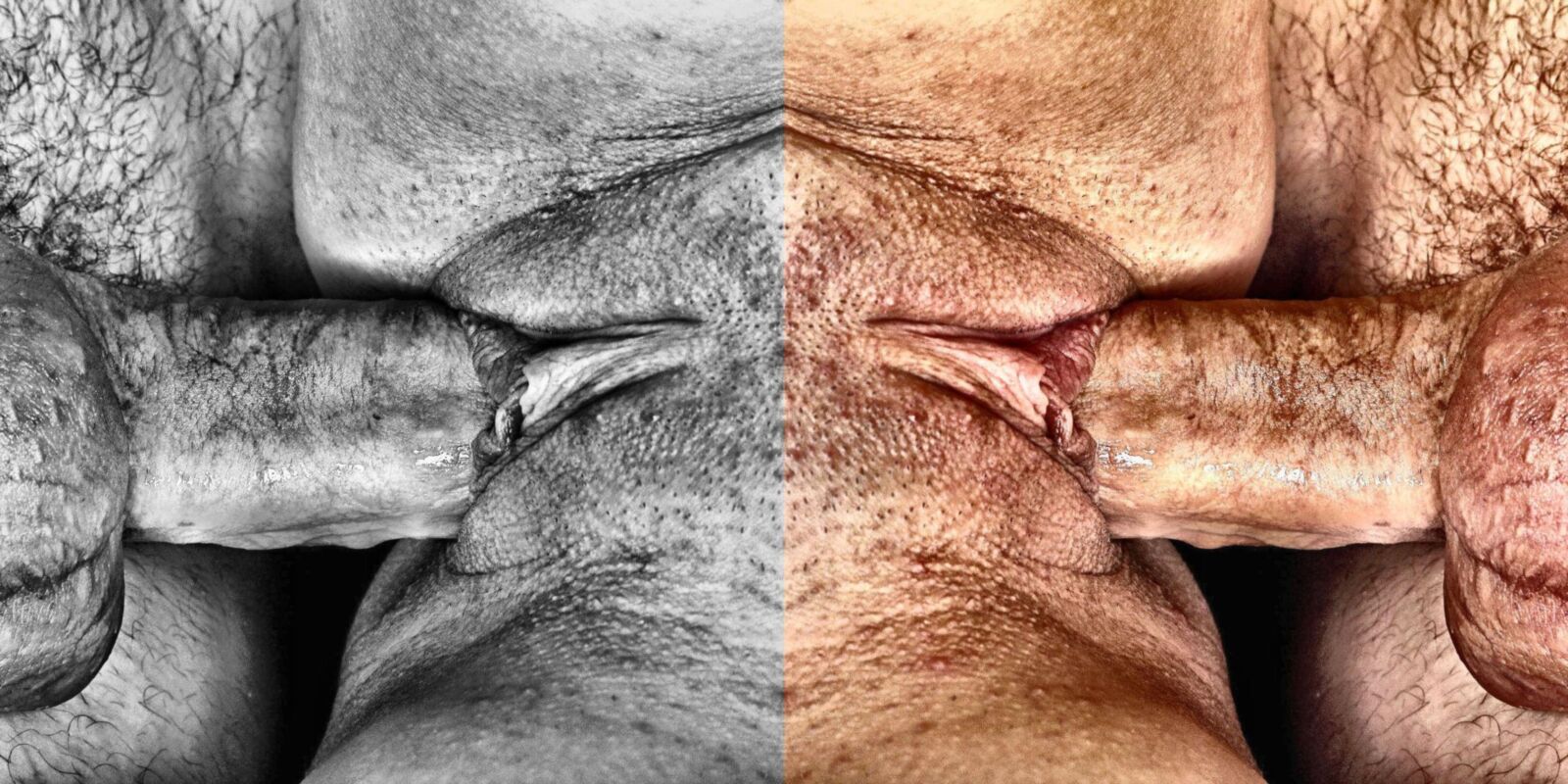 信じられないほどの写真を見たことがない詩アルバム