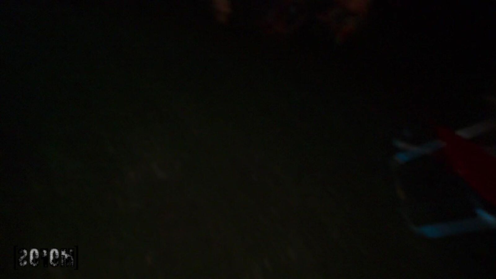 Bella Nova yo le concert