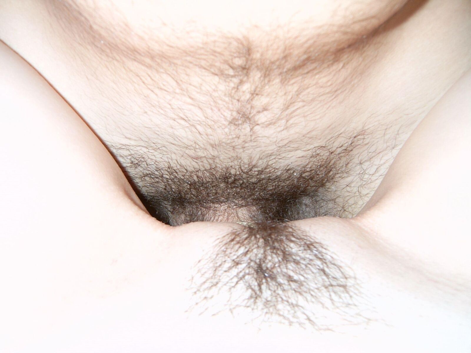 Трио () BBF