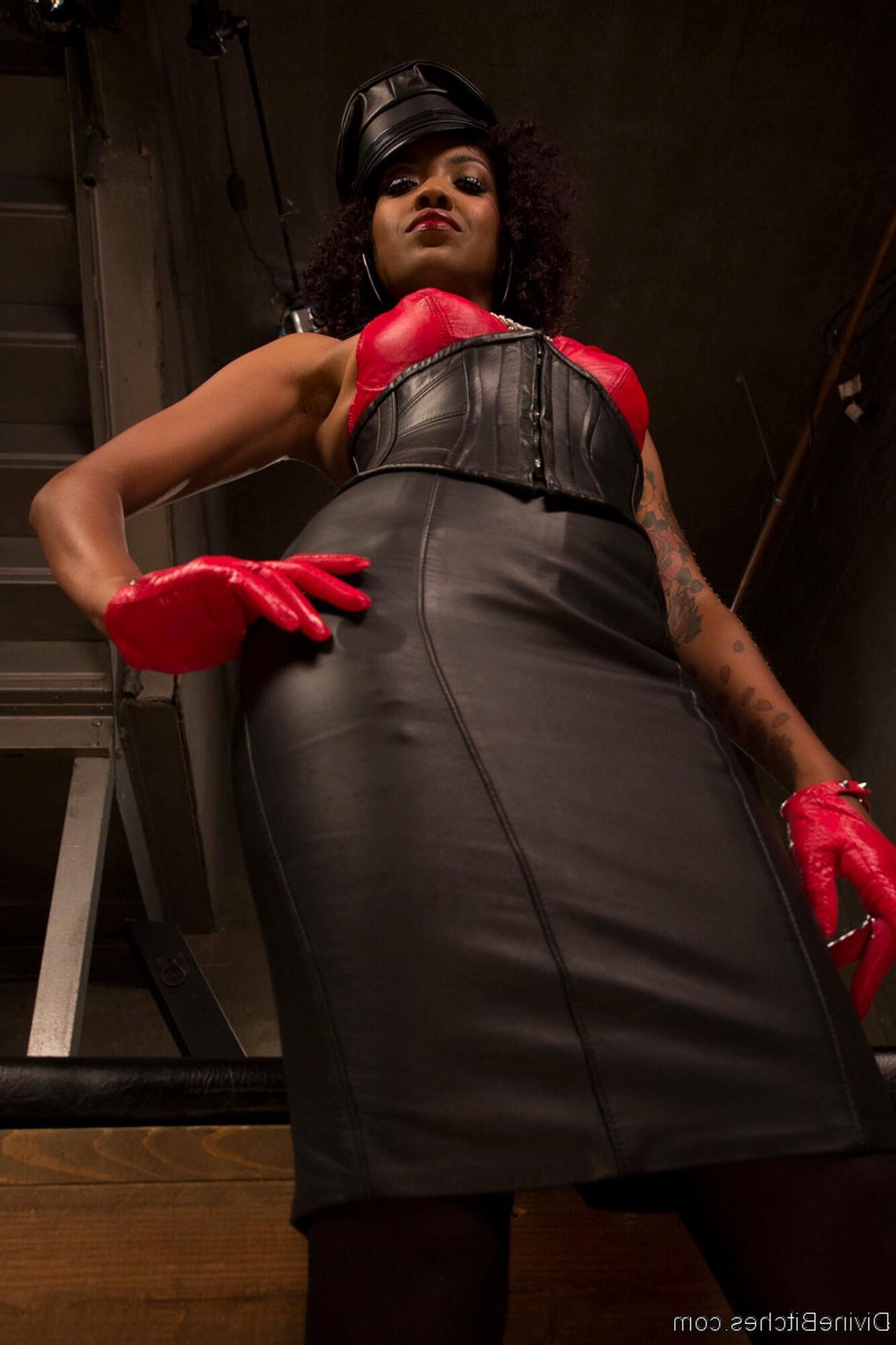 .. Lotus lain (Domina)