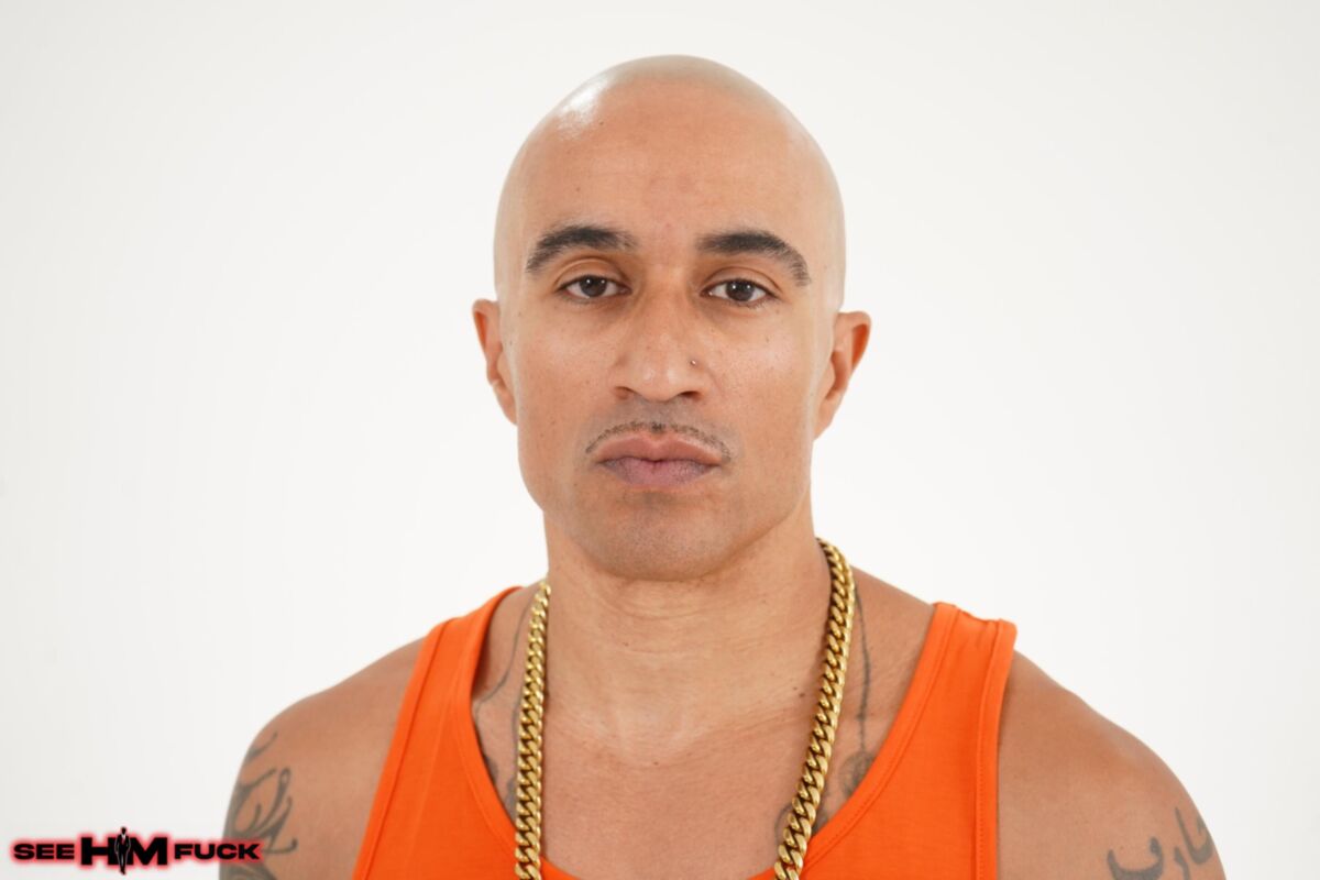 Sasha Tatcha Return of the King