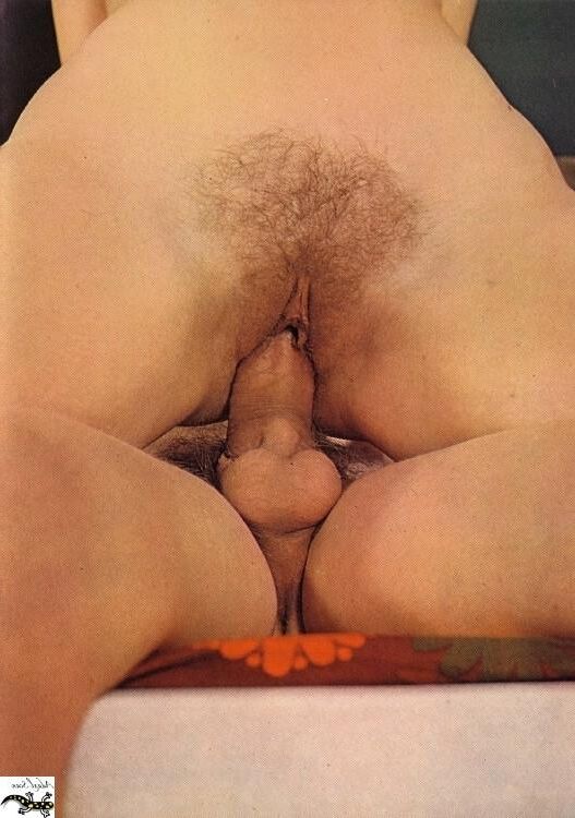 Porno spécial