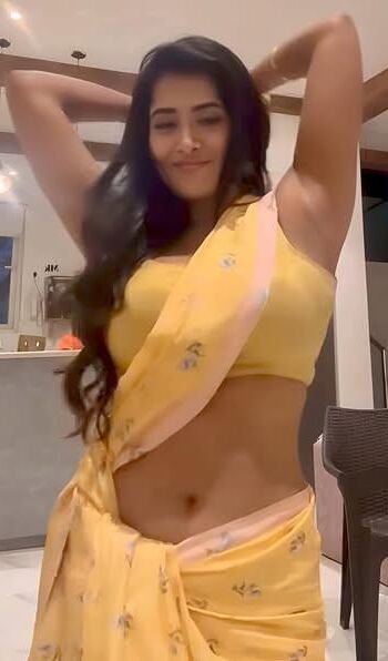 ハードコアとソフトコア（Desi Indian Aunties and Milf）