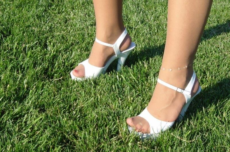 ブランデーのパンストホセエクシーコレクション