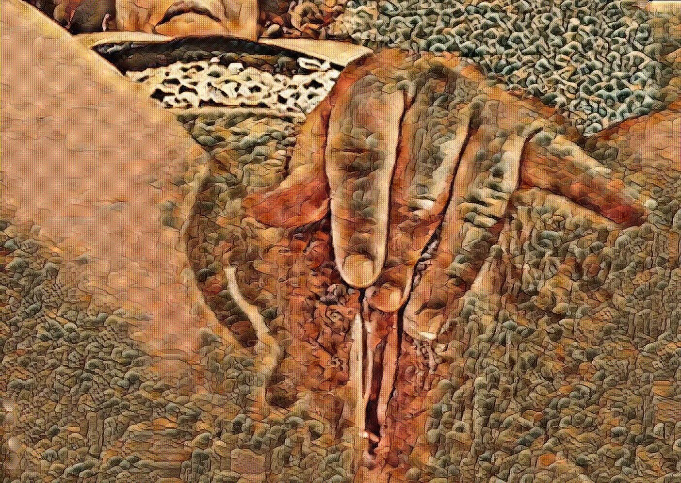 Dreaming of taking a closer look#