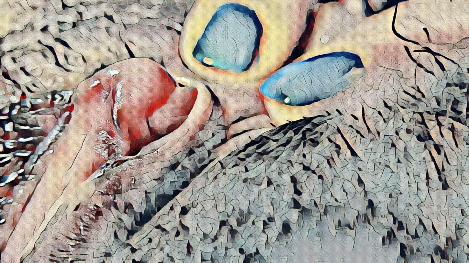 Dreaming of taking a closer look#