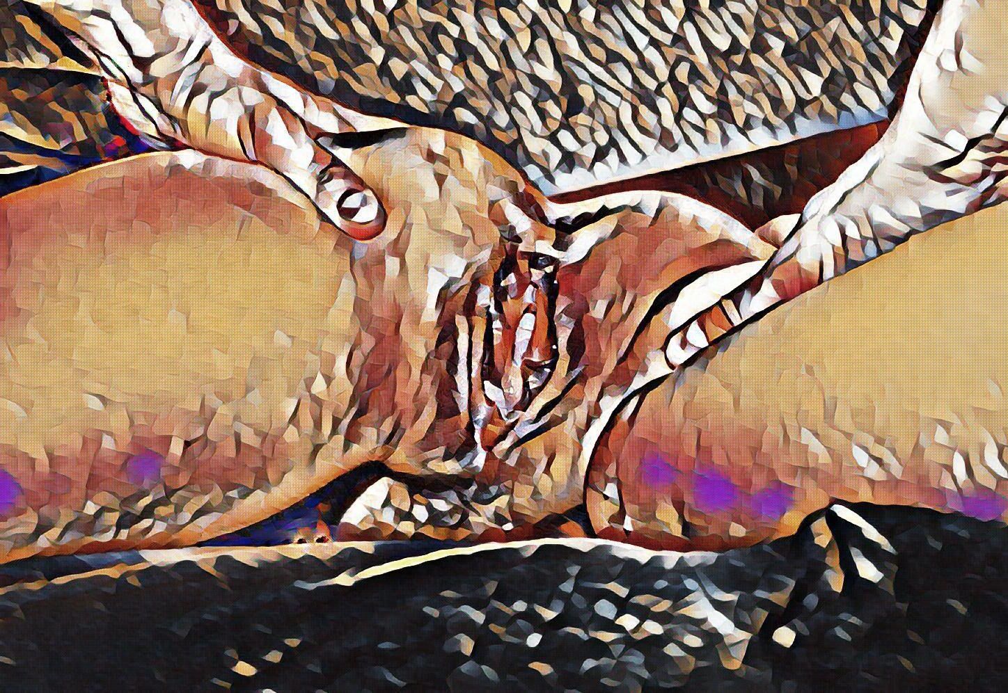 Dreaming of taking a closer look#