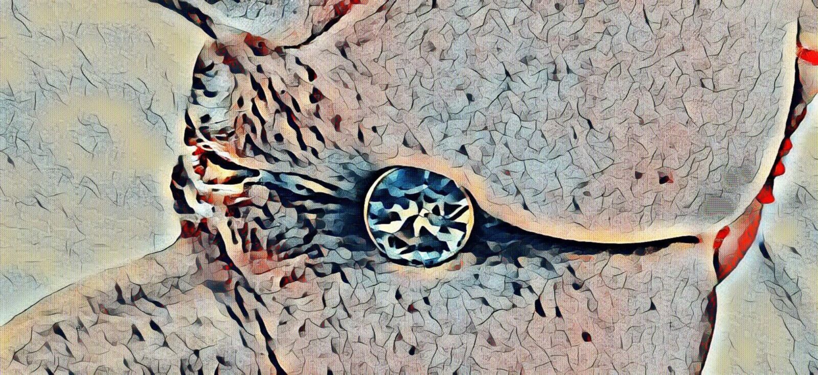 Dreaming of taking a closer look#