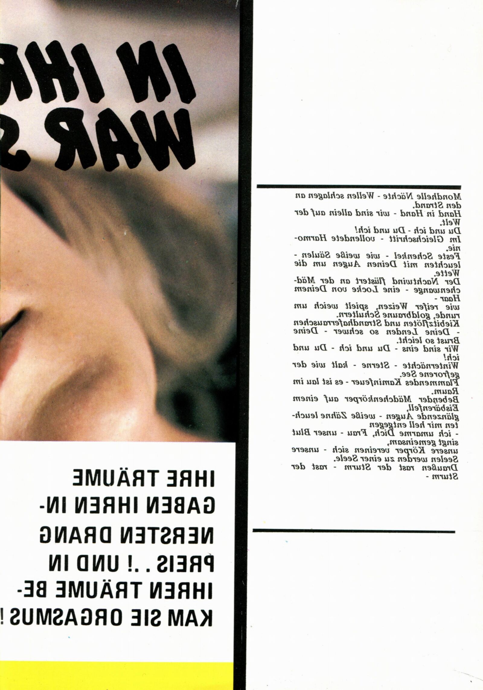 Magazine 