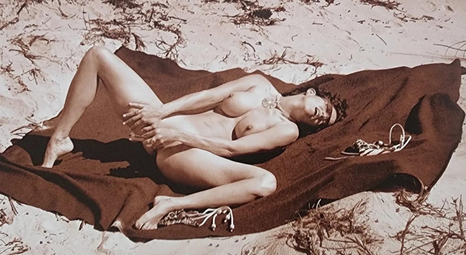 Dian Hanson Erotic magazine editor Part II